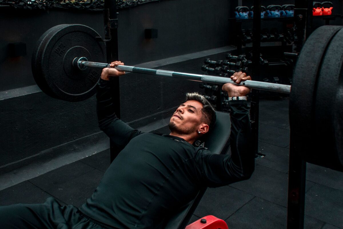 presse verticale muscles programmer
